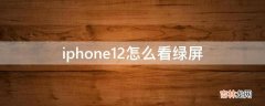 iphone12怎么看绿屏