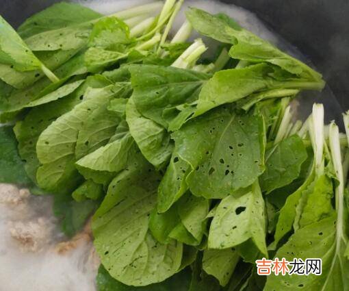 肉圆子怎么煮又嫩又有弹性