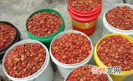 焦山楂是怎么制成的