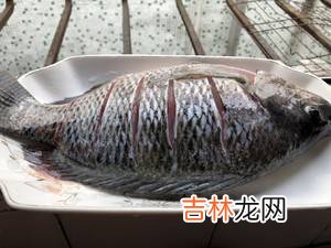 炸鱼怎么挂糊不脱落