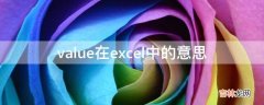 value在excel中的意思