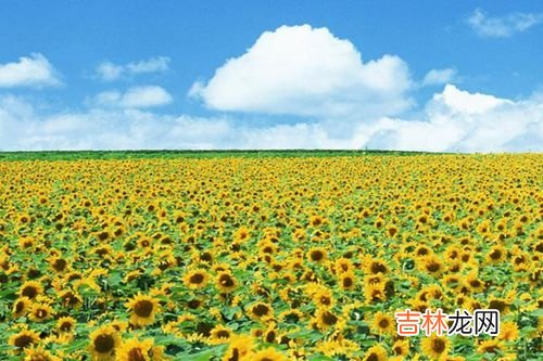 夏天出生适合什么颜色？夏天出生的人性格特点