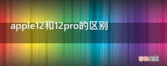 apple12和12pro的区别