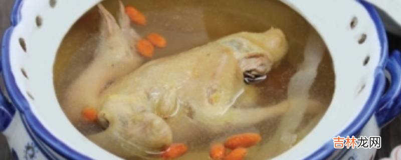 怎样做鸽子汤好喝