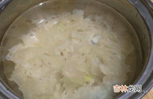 雪莲怎么吃才好吃