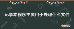 记事本程序主要用于处理什么文件