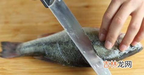怎样煮鱼好吃又简单