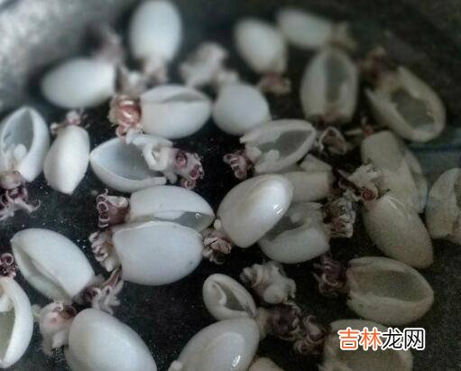 小墨鱼仔怎么做好吃又简单