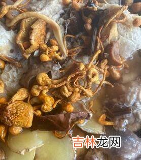 野山珍怎么做好吃
