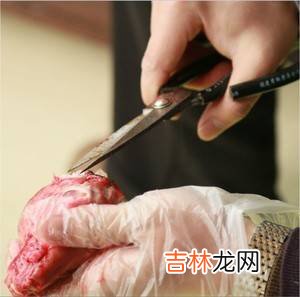 兔肉怎么做好吃又简单