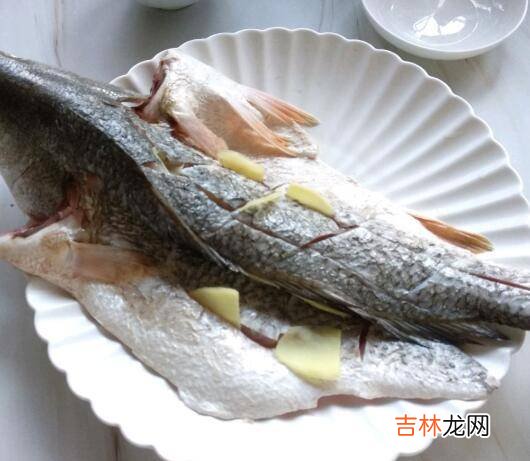 美国红鱼怎么做好吃