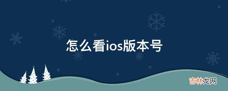 怎麽看ios版本號