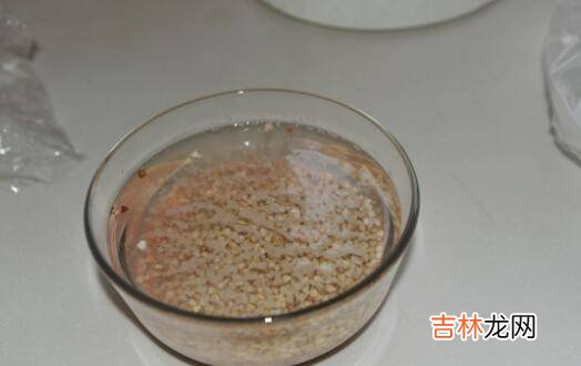 荞麦米怎么煮粥