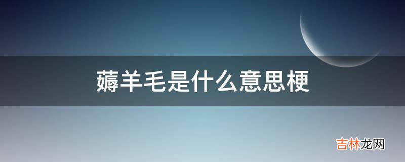 薅羊毛是什么意思梗