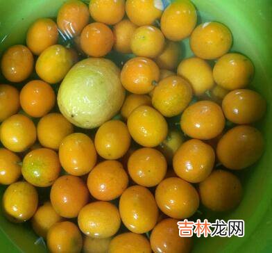 金桔膏怎么熬制家庭做法