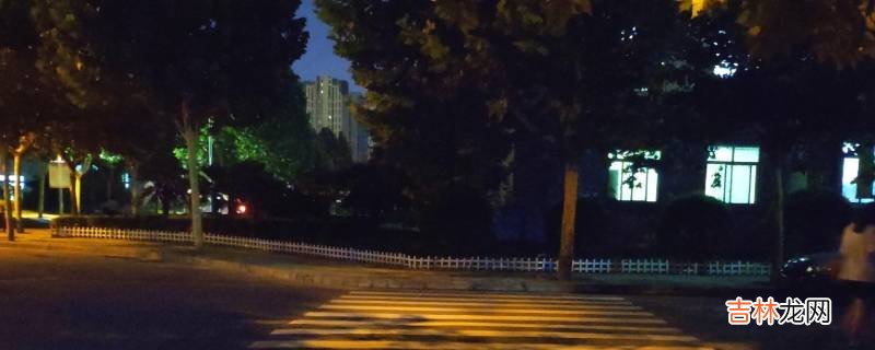 夏天的夜晚有什么昆虫的叫声