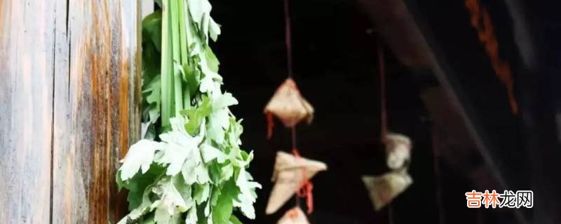 菖蒲端午节什么关系