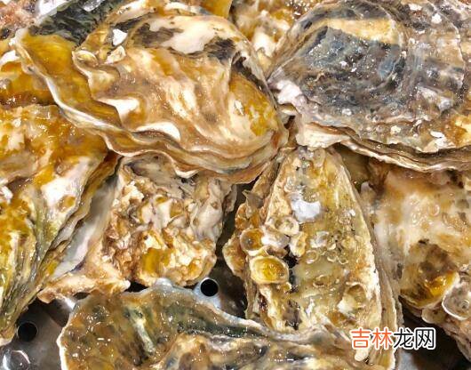 牡蛎怎么吃怎么做