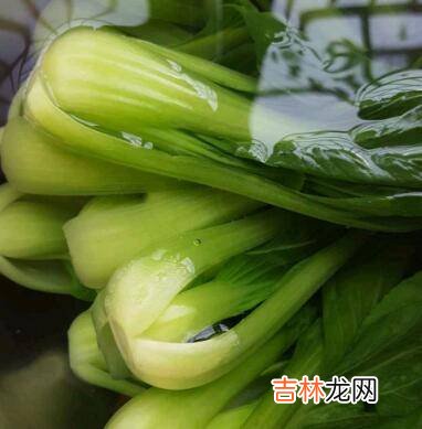 青菜怎么煮