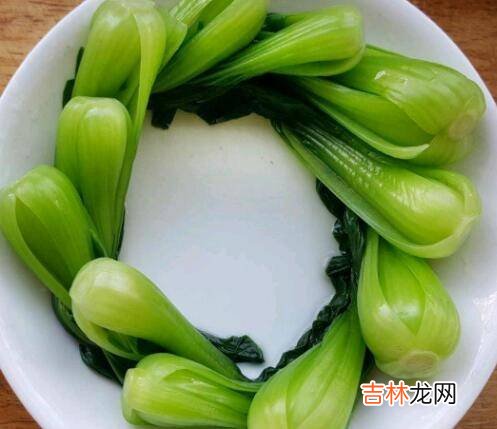 青菜怎么煮