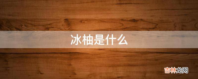 冰柚是什么