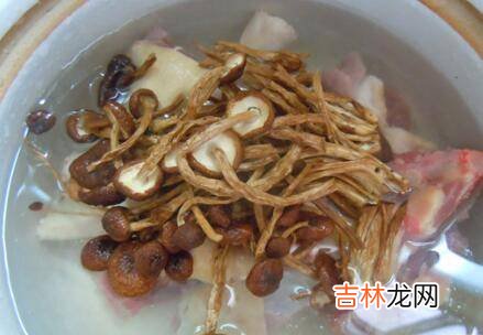 干茶树菇怎么煮才会烂