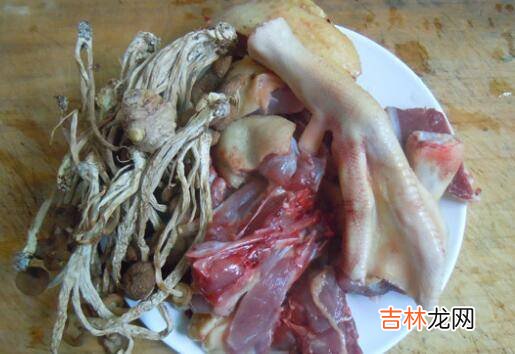 干茶树菇怎么煮才会烂
