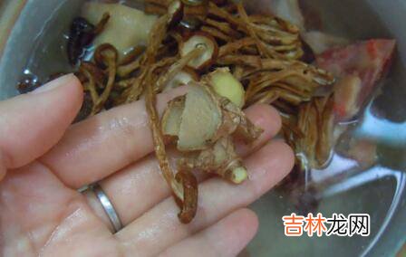 干茶树菇怎么煮才会烂