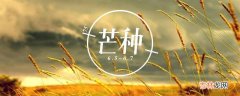 芒种又被称为什么