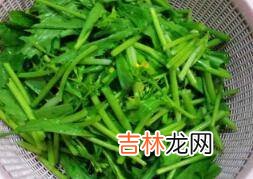 介菜心怎么炒