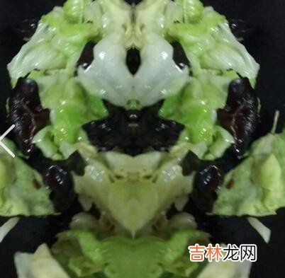 木耳加包包菜怎么一起炒