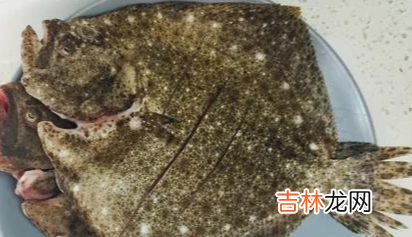 多宝鱼如何处理干净