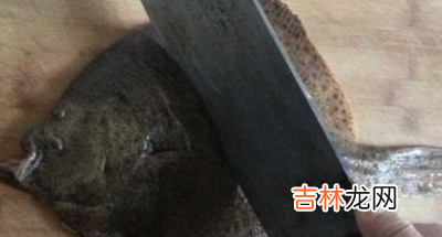 多宝鱼如何处理干净