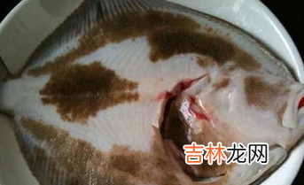 多宝鱼如何处理干净