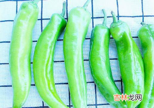 辣椒怎么炒不起皮