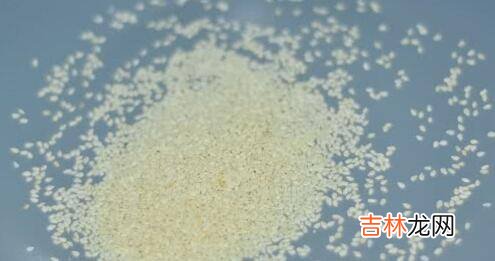 萝卜豆腐怎么炒