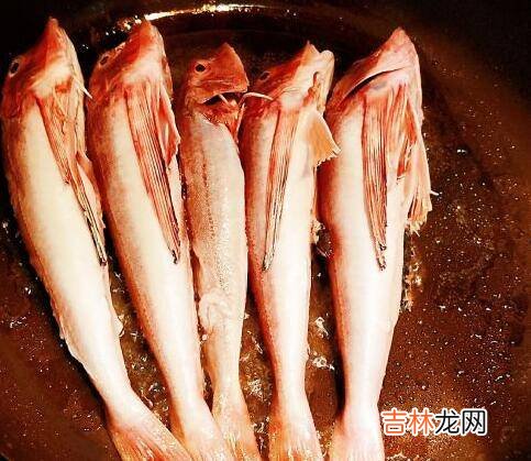 红头鱼炖豆腐怎么做好吃