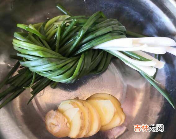 老鸽子怎么炖汤好喝又营养