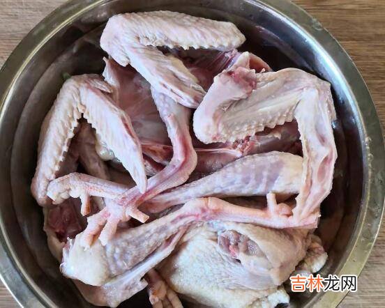 老鸽子怎么炖汤好喝又营养