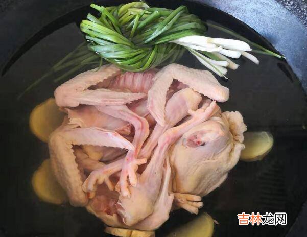 老鸽子怎么炖汤好喝又营养
