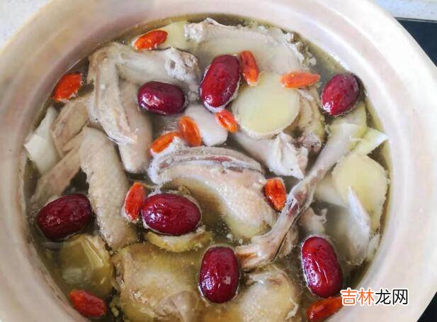 老鸽子怎么炖汤好喝又营养