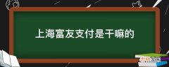 上海富友支付是干嘛的