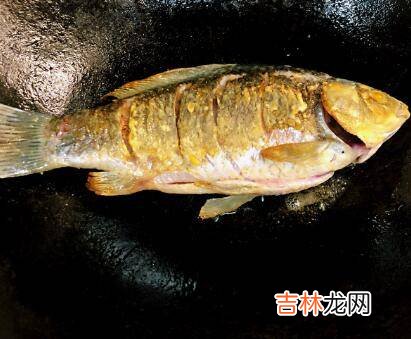 熬鱼汤怎么做好喝又有营养