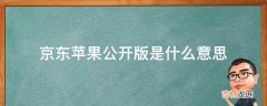 京东苹果公开版是什么意思