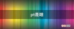 pt是啥