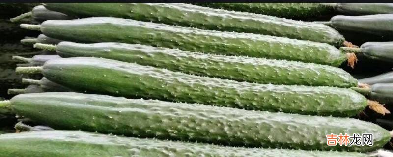 冻了黄瓜怎么炒好吃