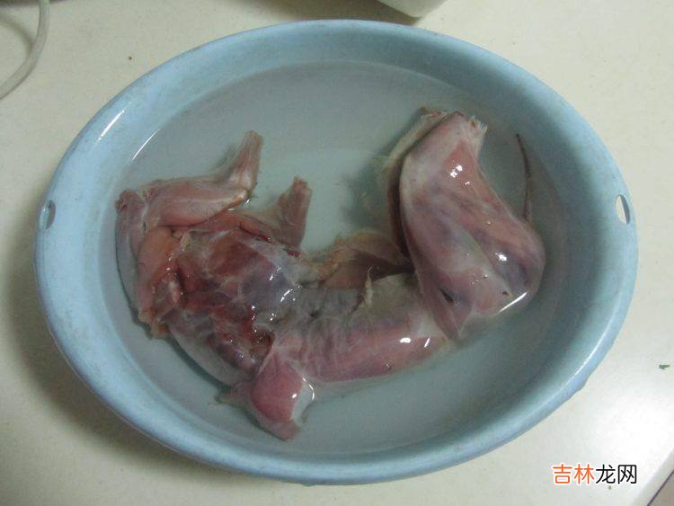 野兔怎么烧着吃