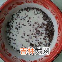 如何腌制腊排骨的做法