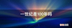 一世纪是100年吗