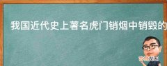 我国近代史上著名虎门销烟中销毁的是哪种烟